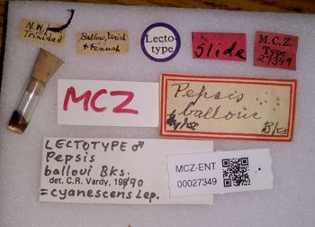 Media type: image;   Entomology 27349 Aspect: labels
